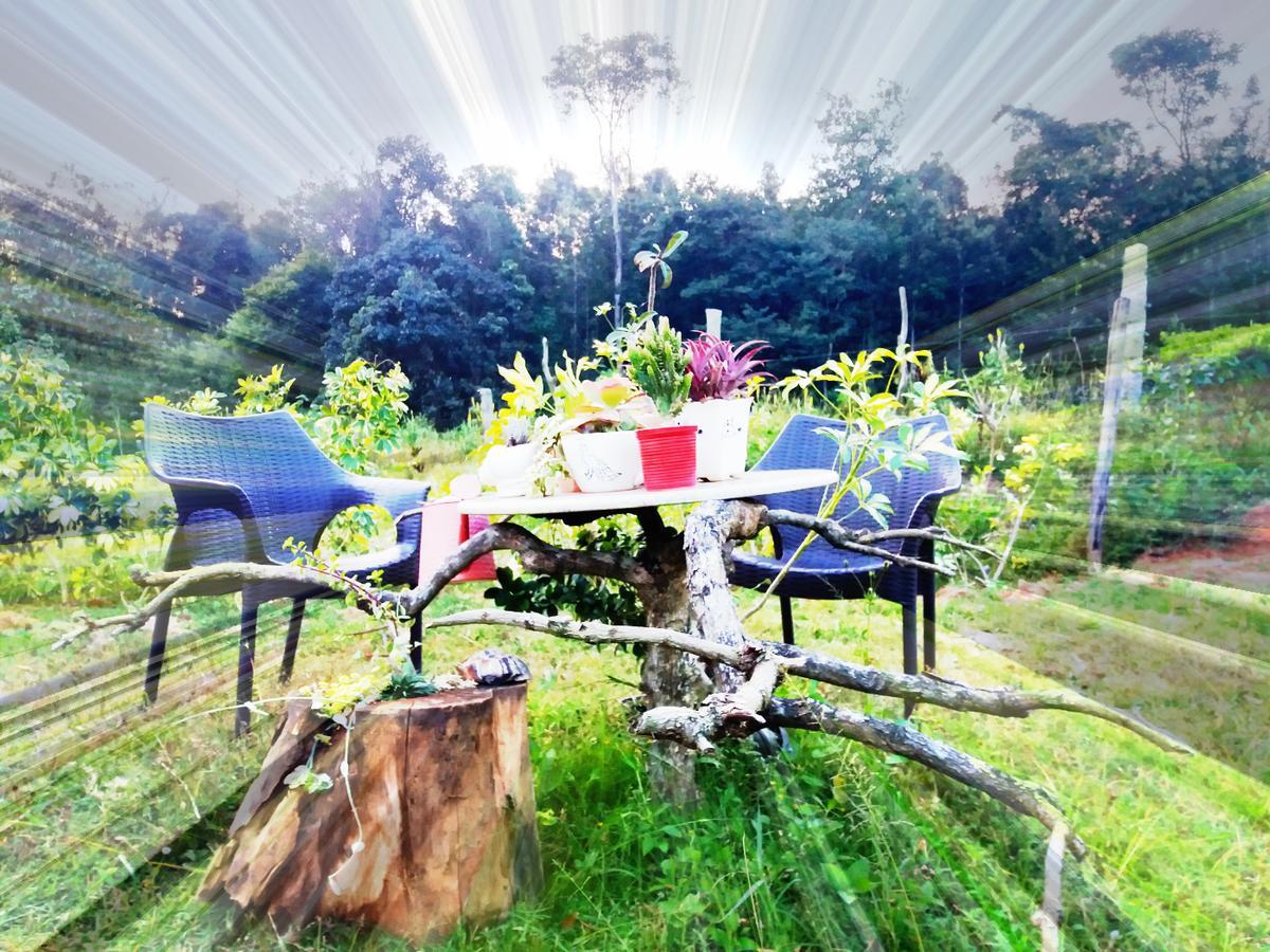Silvershine Homestay Chikmagalūr 外观 照片