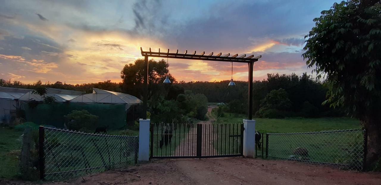 Silvershine Homestay Chikmagalūr 外观 照片